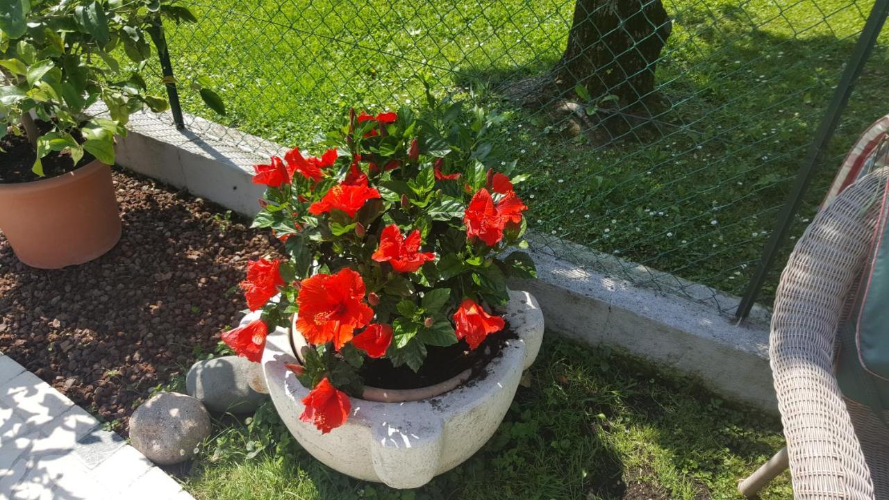 B&B Casa Gaia - Sirmione Bagian luar foto