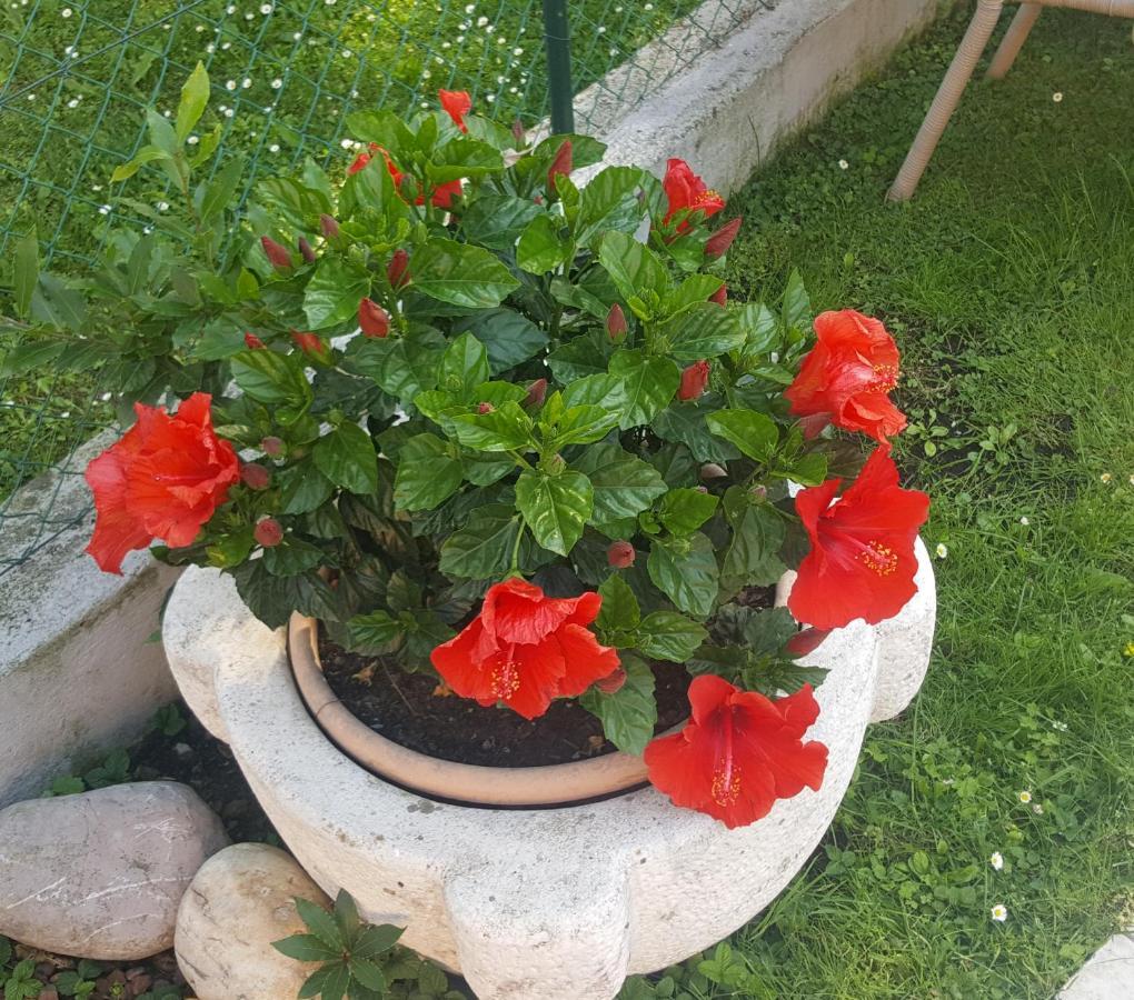 B&B Casa Gaia - Sirmione Bagian luar foto
